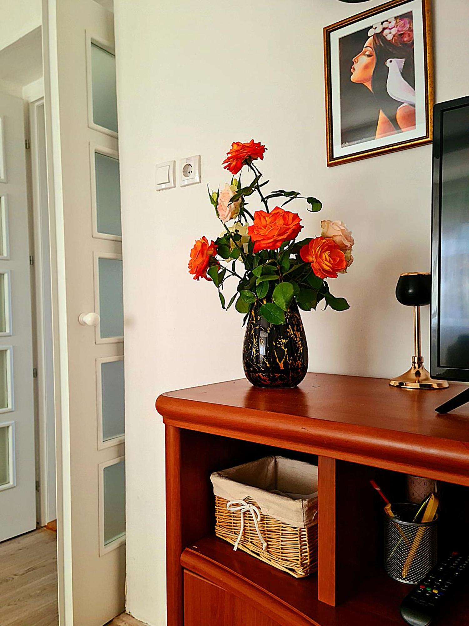 Citys Apartment Apatin Bagian luar foto